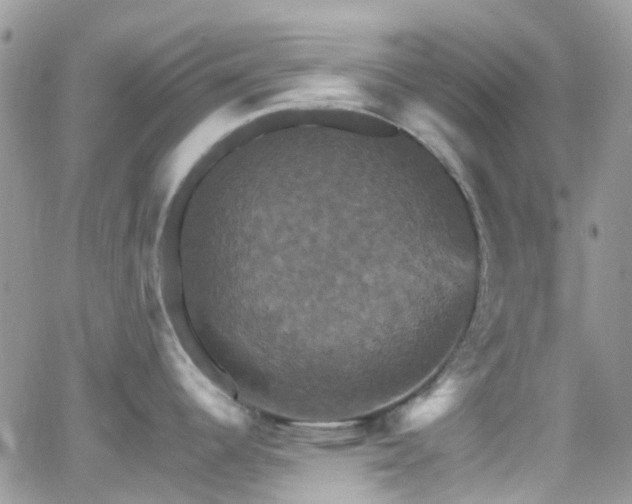 X0000066541344200603171231