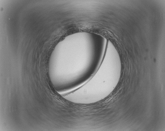 X0000066541345200603171230