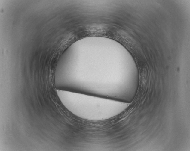 X0000066541346200603171230