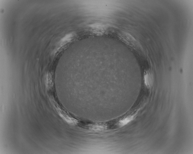 X0000066541347200603171230