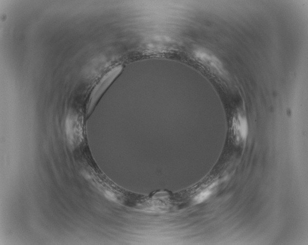 X0000066541348200603171230