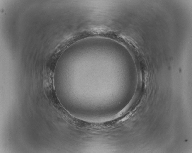 X0000066541349200603171230