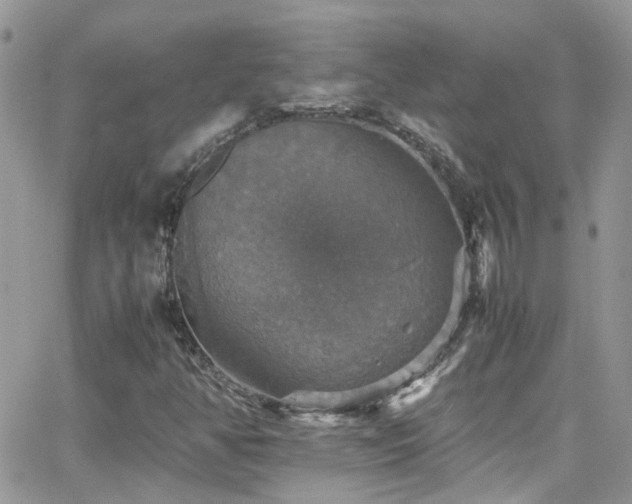 X0000066541350200603171230