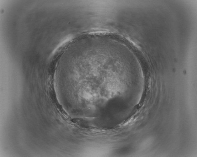 X0000066541351200603171230