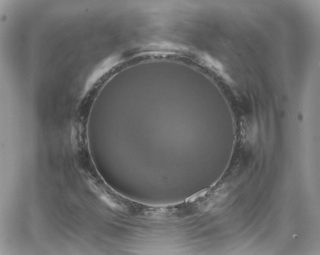 X0000066541352200603171230