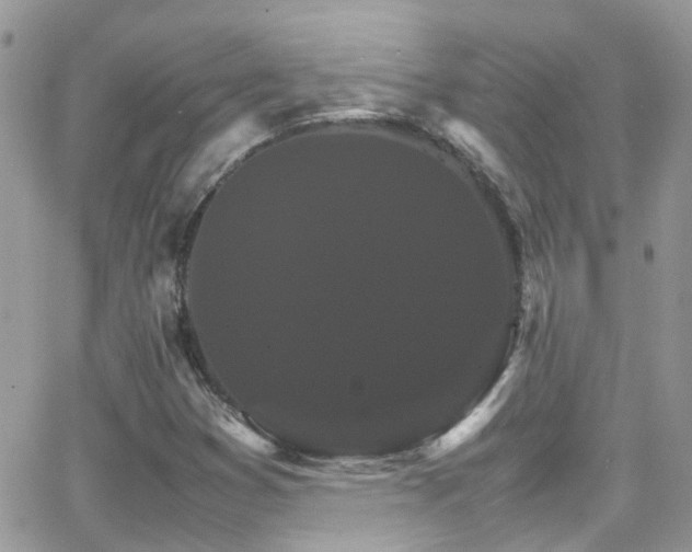 X0000066541353200603171230