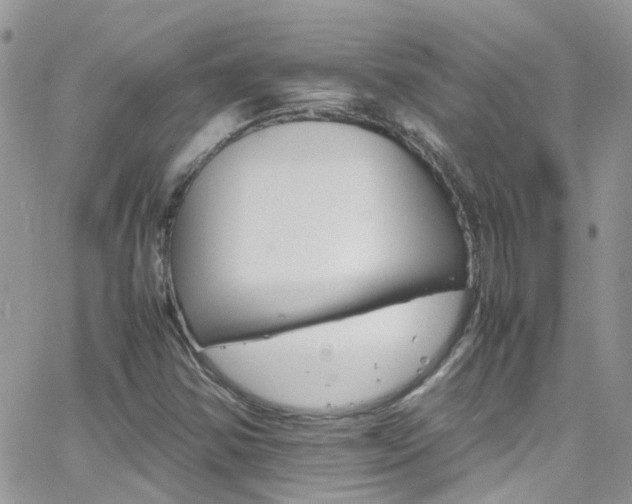 X0000066541354200603171230