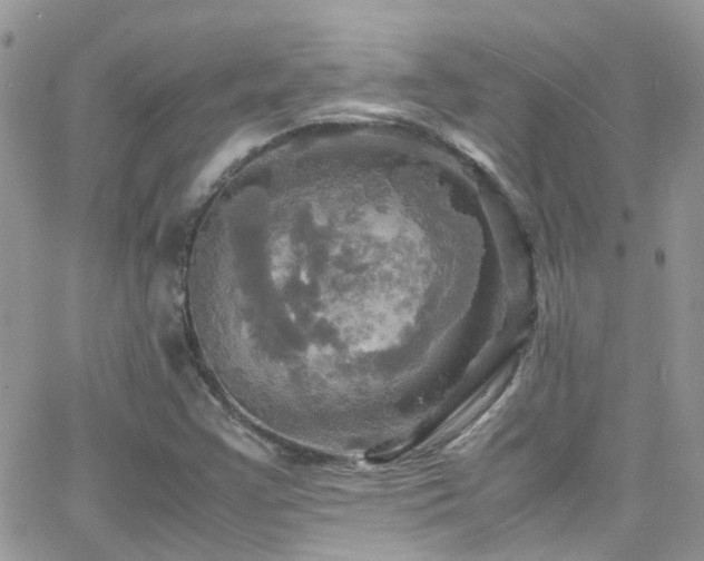 X0000066541355200603171230