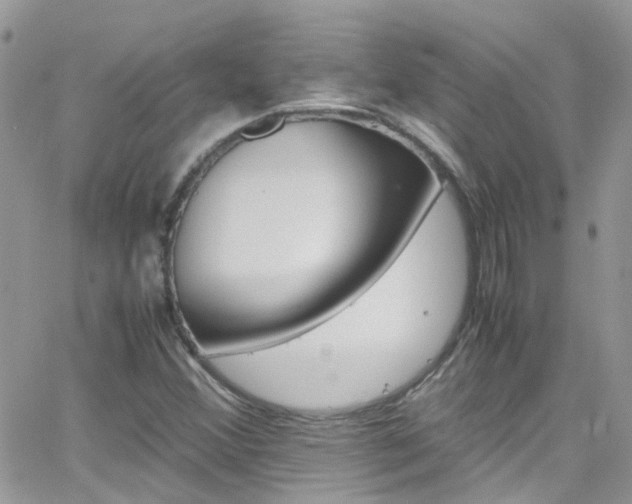 X0000066541356200603171230