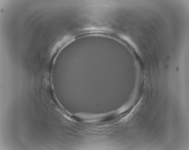 X0000066541357200603171230