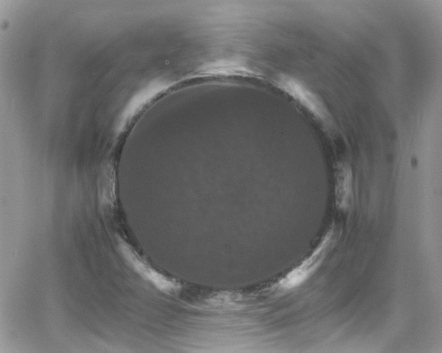 X0000066541358200603171230