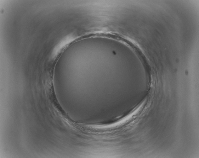 X0000066541359200603171230