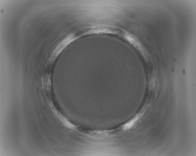 X0000066541361200603171230