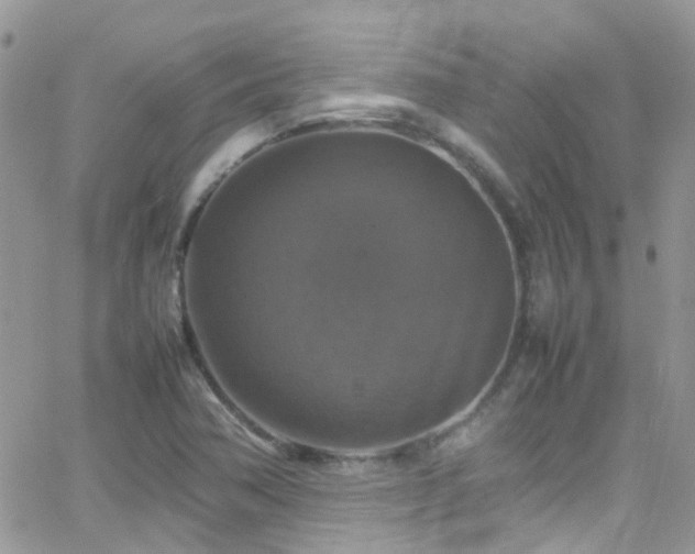 X0000066541362200603171230