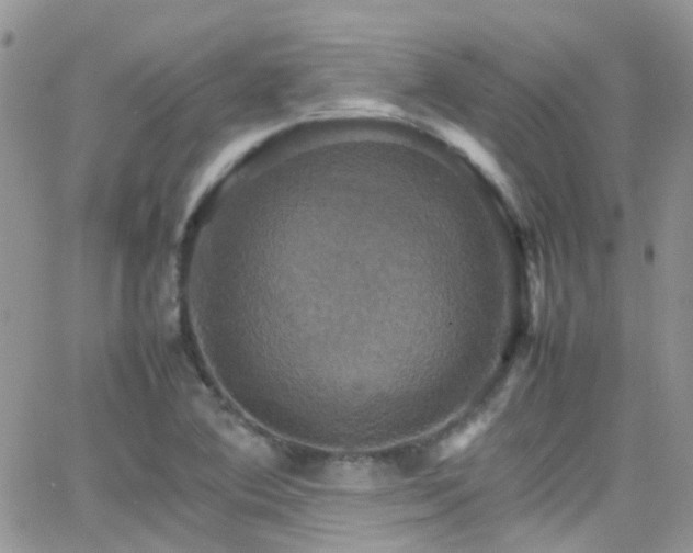 X0000066541364200603171230