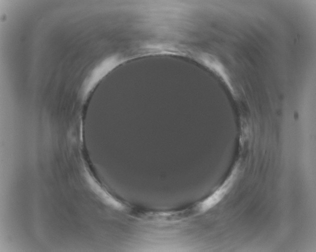 X0000066541365200603171230