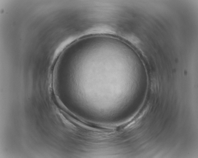 X0000066541366200603171230