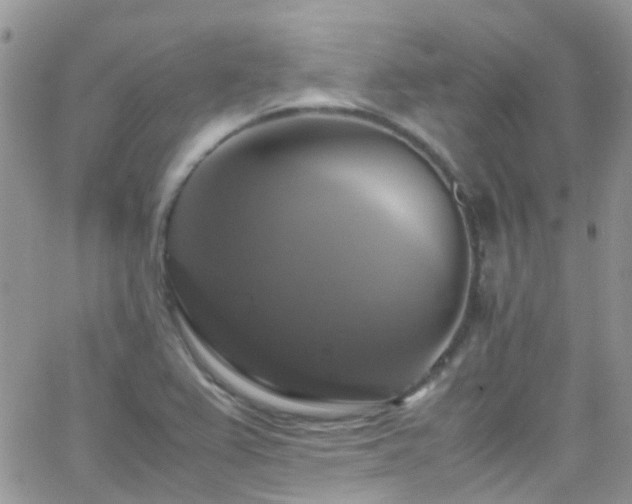 X0000066541367200603171230