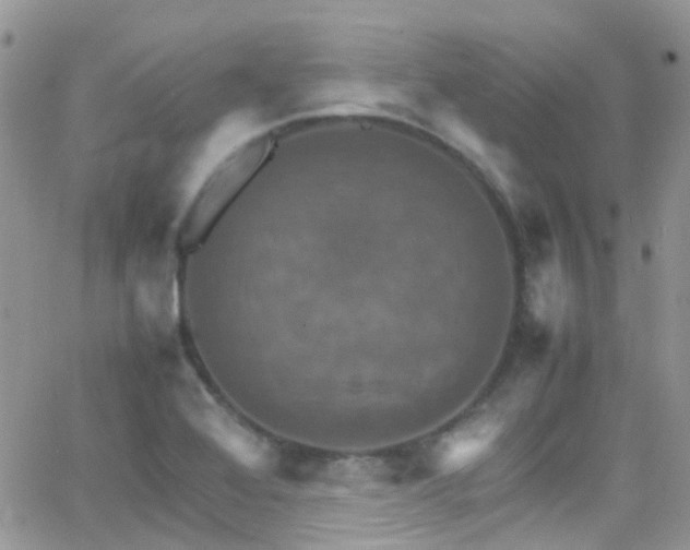 X0000066541368200603171230