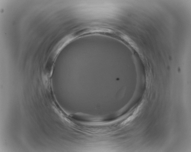 X0000066541369200603171230