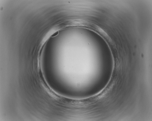 X0000066541370200603171230