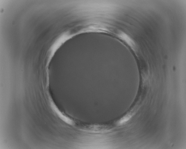 X0000066541371200603171230