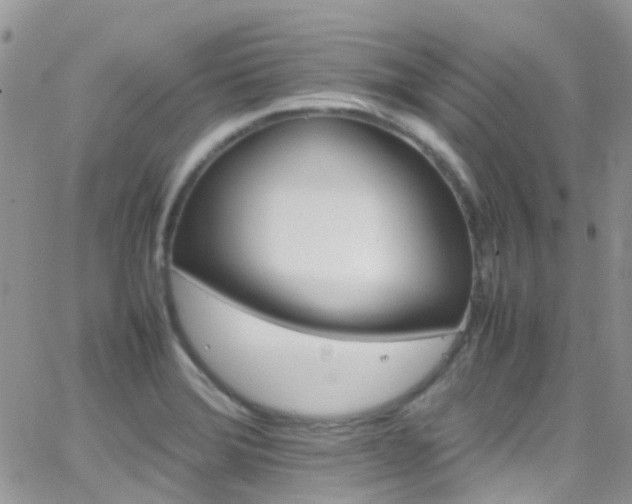 X0000066541372200603171230