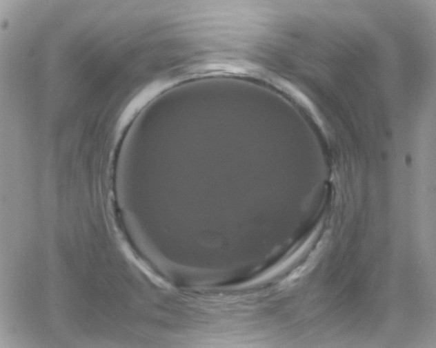 X0000066541373200603171230