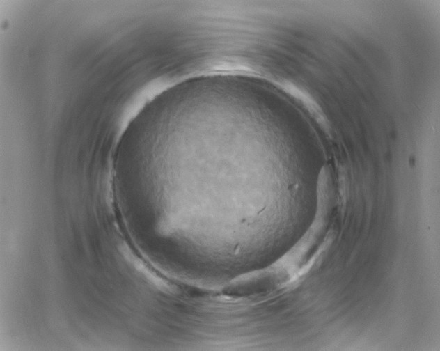 X0000066541374200603171230