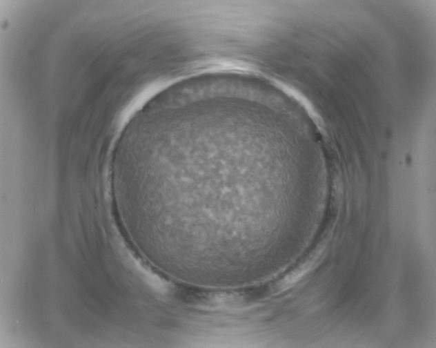 X0000066541375200603171230