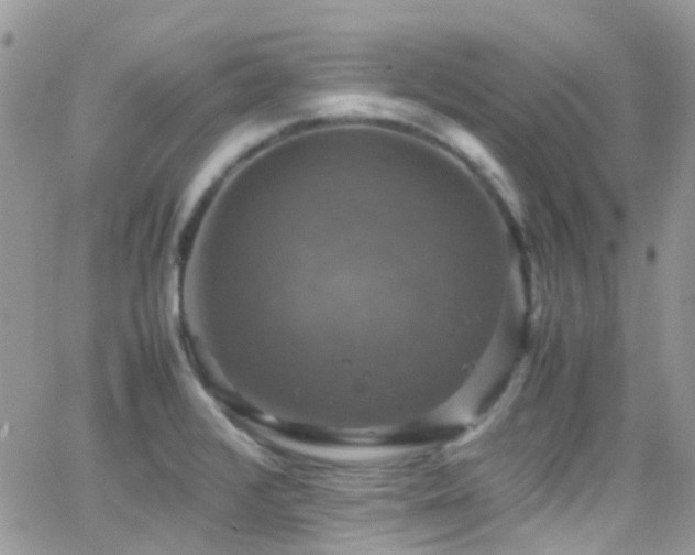 X0000066541376200603171230