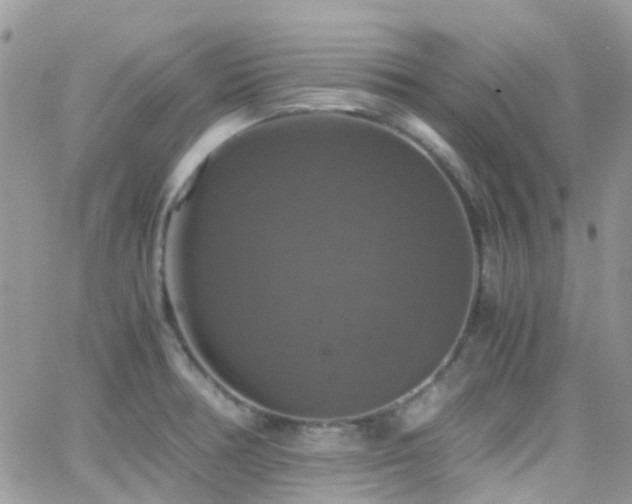 X0000066541378200603171230