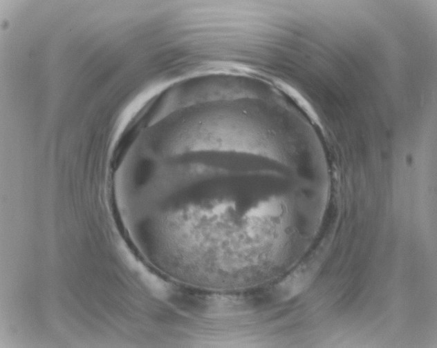 X0000066541379200603171230