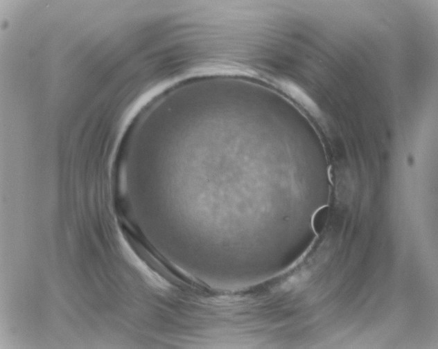 X0000066541380200603171230