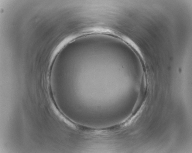 X0000066541381200603171230