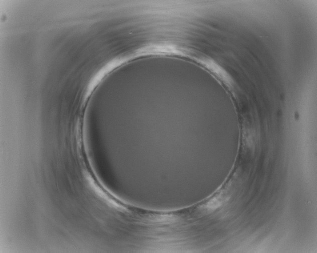 X0000066541382200603171230