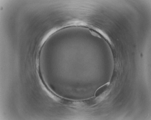 X0000066541383200603171230