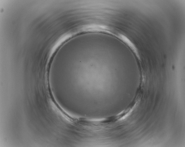 X0000066541384200603171230