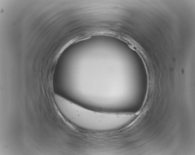 X0000066541385200603171230