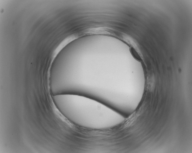 X0000066541386200603171230