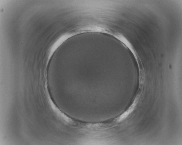 X0000066541389200603171230