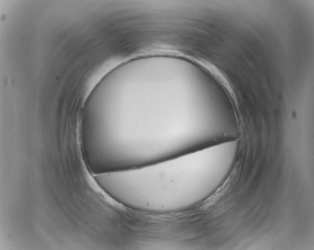 X0000066541390200603171230