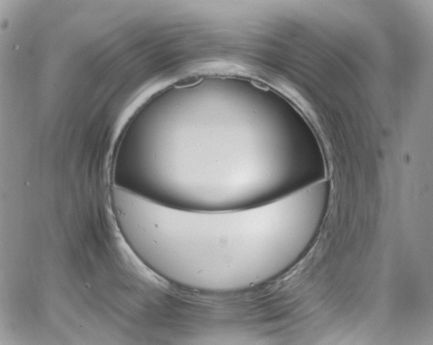 X0000066541392200603171230