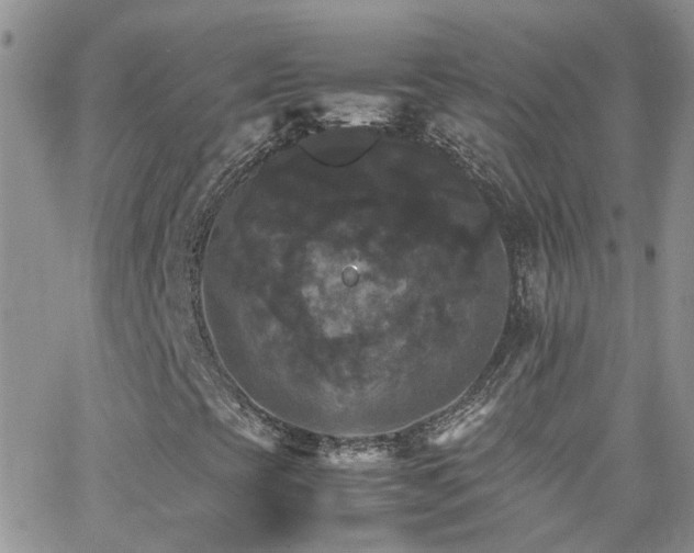 X0000066541393200603171229