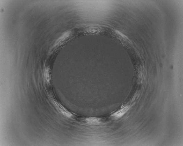 X0000066541394200603171229