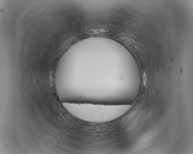 X0000066541395200603171229