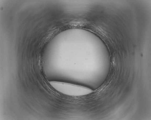 X0000066541396200603171229