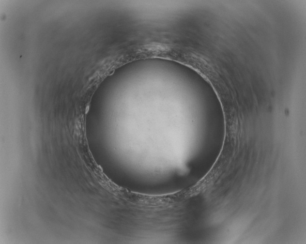 X0000066541397200603171229