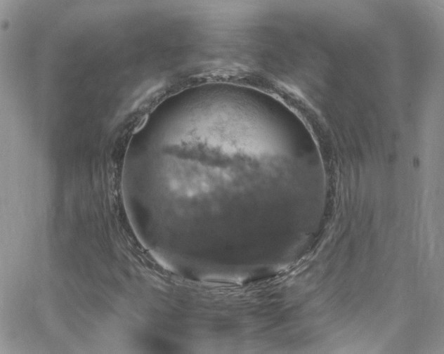 X0000066541399200603171229