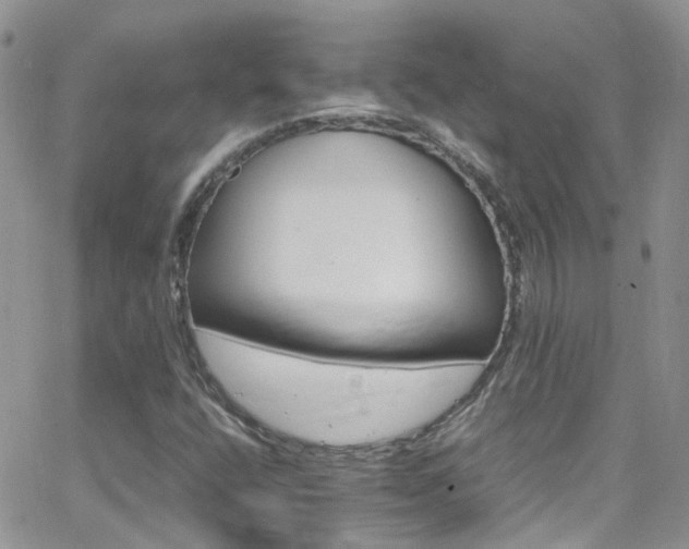 X0000066541400200603171229